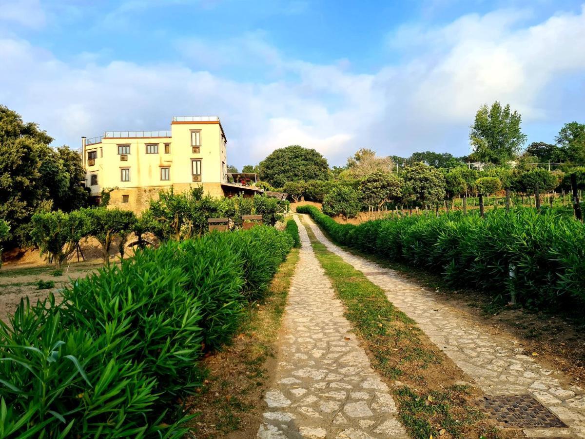 Tenuta Convivium 波佐利 外观 照片