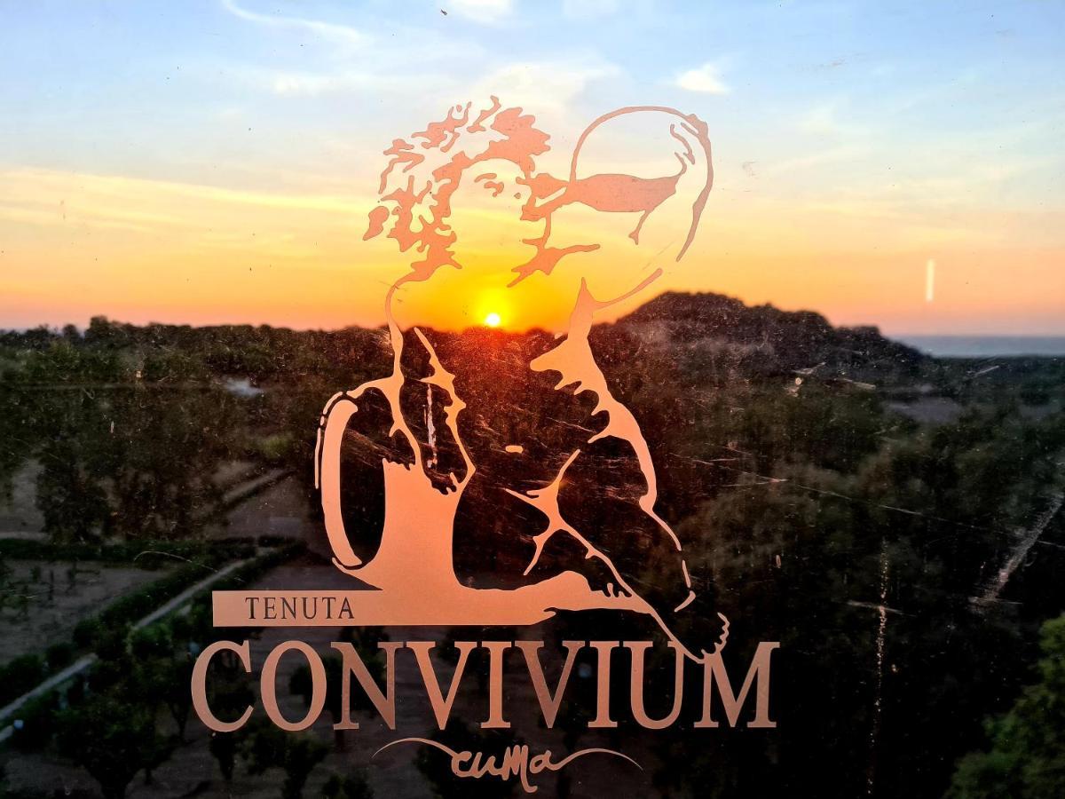 Tenuta Convivium 波佐利 外观 照片