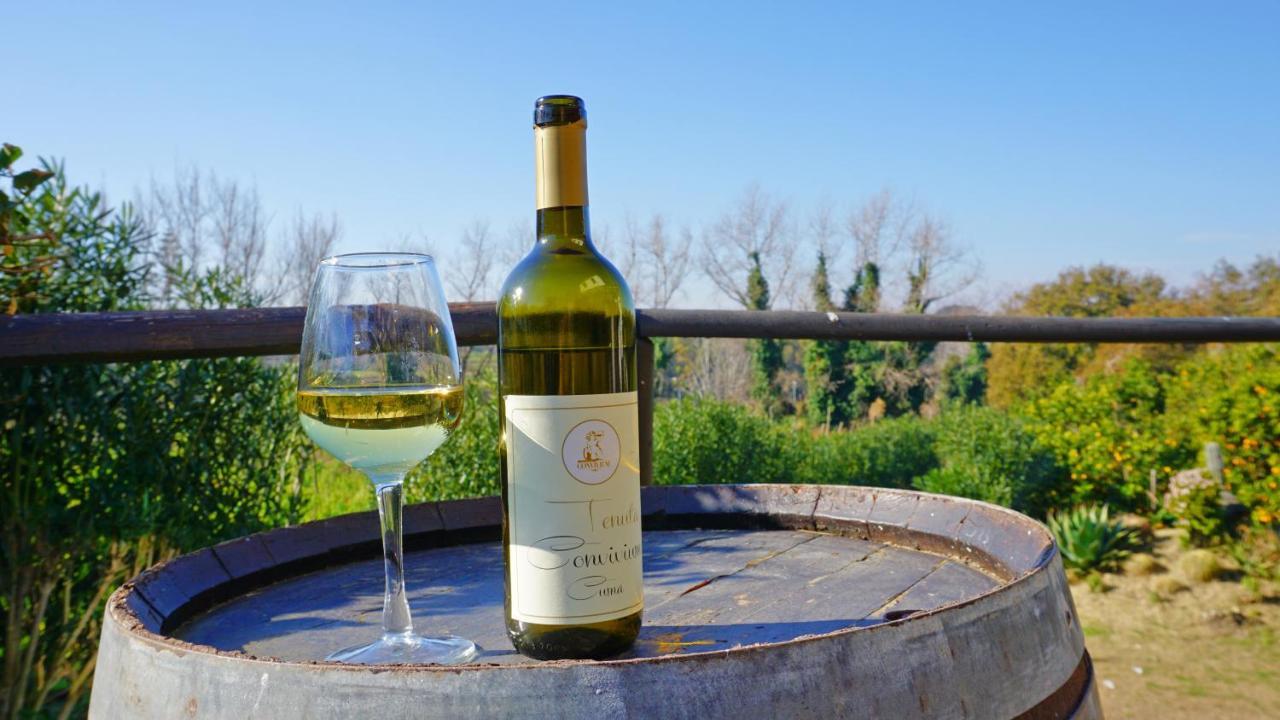 Tenuta Convivium 波佐利 外观 照片