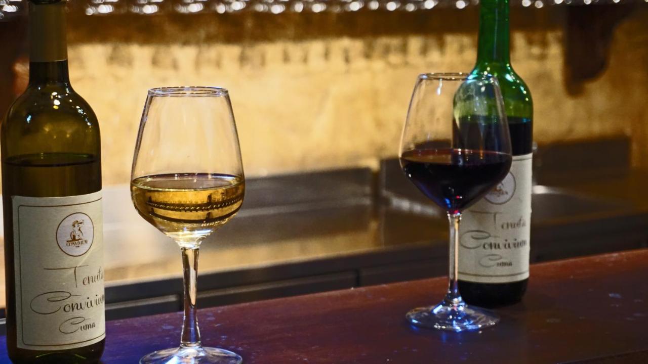 Tenuta Convivium 波佐利 外观 照片